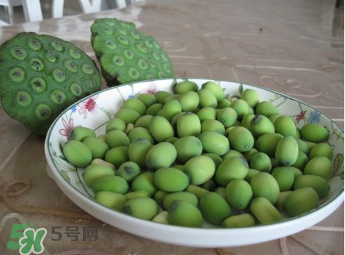新鮮蓮子多少錢一斤？新鮮蓮子哪里有賣？