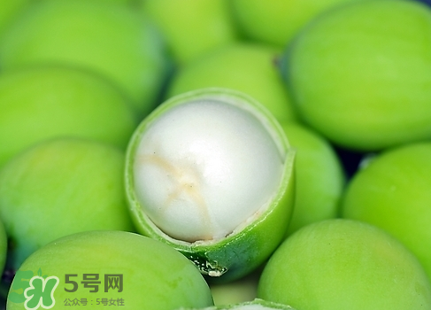 新鮮蓮子多少錢一斤？新鮮蓮子哪里有賣？