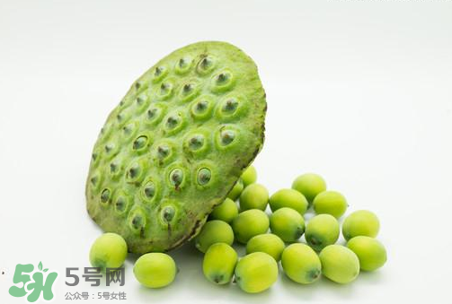 新鮮蓮子可以直接吃嗎？生蓮子可以直接吃嗎？