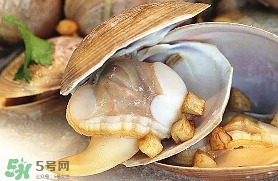 蜆子是蛤蜊嗎？蜆子和文蛤怎樣區(qū)別