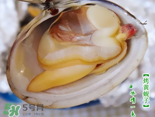 蜆子什么樣的是活的？蜆子開口是死還是活