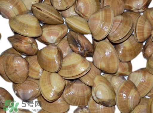 蜆子是花甲嗎？蜆子是海鮮嗎？