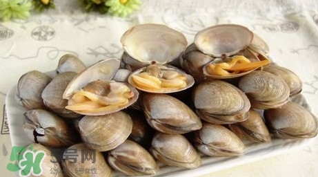 蜆子是寒性的嗎？蜆子什么人不能吃