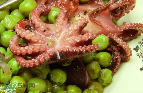 八爪魚(yú)多少錢(qián)一斤？章魚(yú)多少錢(qián)一斤