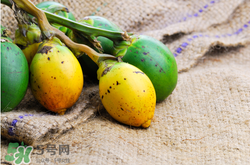 檳榔什么味道？正宗的檳榔是什么味道？
