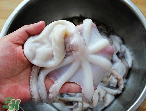 八帶魚(yú)怎么洗？八爪魚(yú)怎么處理干凈