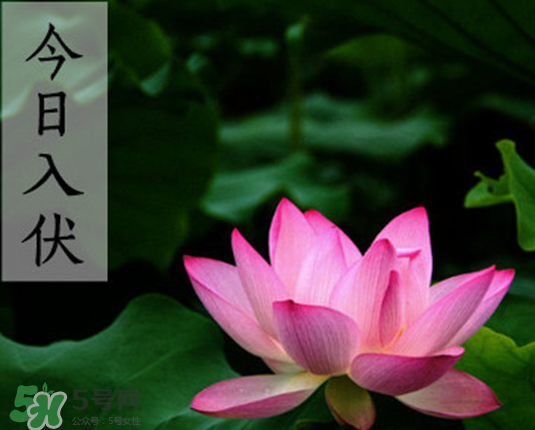 2017年頭伏是幾月幾號？2017年入伏第一天是幾月幾號？