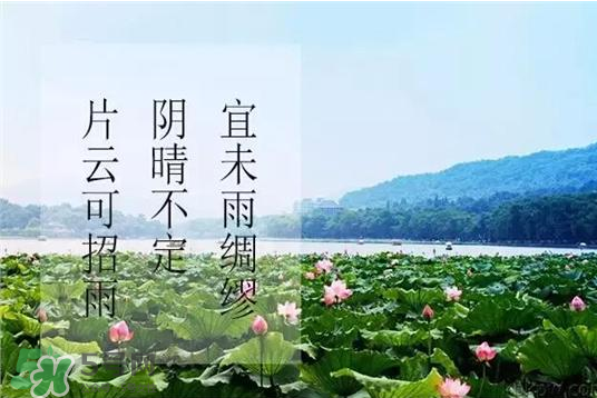 2017年幾月幾號入伏？入伏是幾月幾號2017？