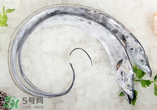 帶魚是深海魚嗎？帶魚是海鮮嗎