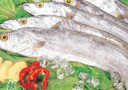 帶魚(yú)是咸的嗎？帶魚(yú)是無(wú)鱗魚(yú)嗎