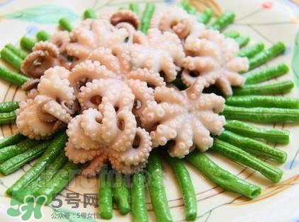 八爪魚頭里面的能吃嗎？八爪魚的墨汁可以吃嗎