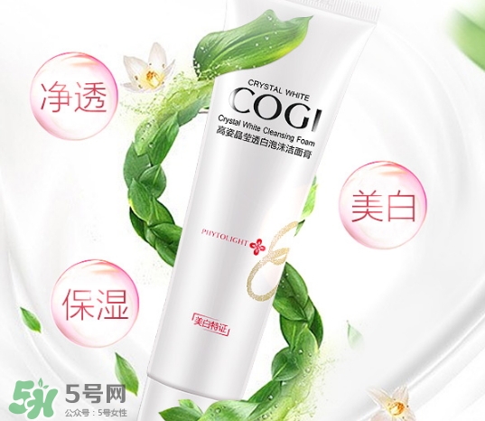 高姿洗面奶多少錢？高姿洗面奶真假查詢