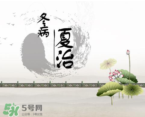 2017年三伏貼什么時(shí)候貼？2017年三伏貼貼幾天？