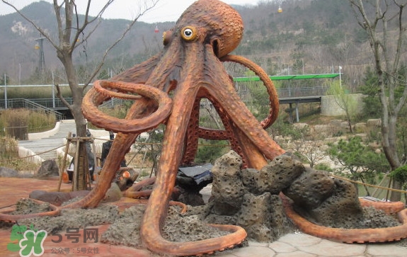 章魚是烏賊嗎？章魚與烏賊的區(qū)別