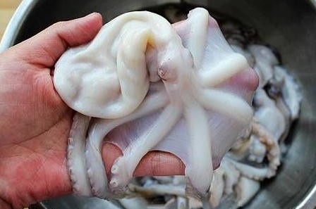 章魚是魚嗎？章魚有什么營養(yǎng)價(jià)值？