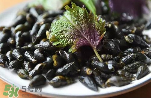紫蘇是什么植物？紫蘇是發(fā)物嗎？