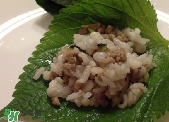 紫蘇和羅勒是一種東西嗎？紫蘇葉對(duì)人體有什么好處