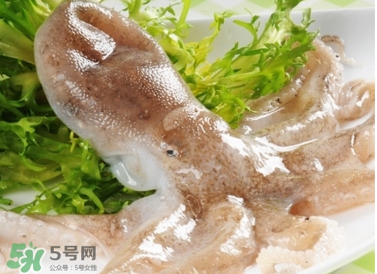 八帶魚(yú)怎么洗？八爪魚(yú)怎么處理干凈