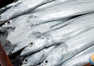 帶魚是深海魚嗎？帶魚是海鮮嗎