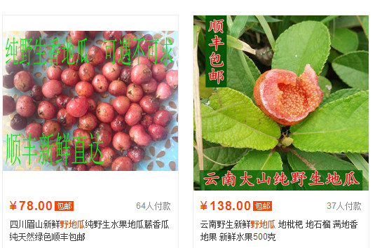野地瓜哪里可以買到？哪個(gè)地方有種植野地瓜的
