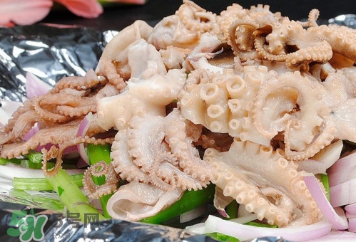 八爪魚是魷魚嗎？八爪魚是章魚嗎