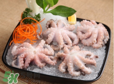 八爪魚可以生吃嗎？八爪魚生吃有寄生蟲嗎
