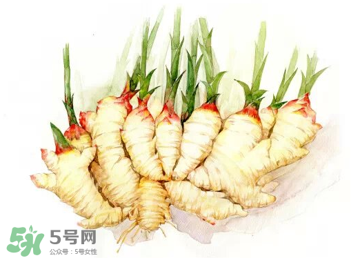 7月份可以種生姜嗎？生姜幾月份種植？