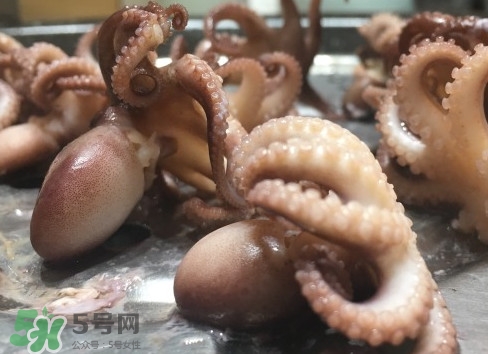八爪魚怎么做好吃？八爪魚怎么保存