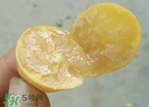 黃皮可以吃皮嗎？黃皮果可以帶皮吃嗎