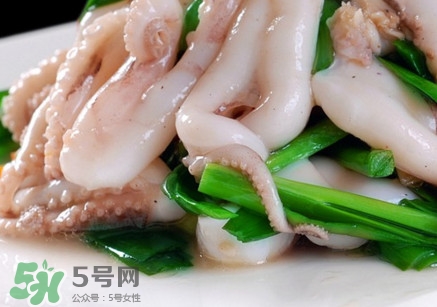 八爪魚是魷魚嗎？八爪魚是章魚嗎