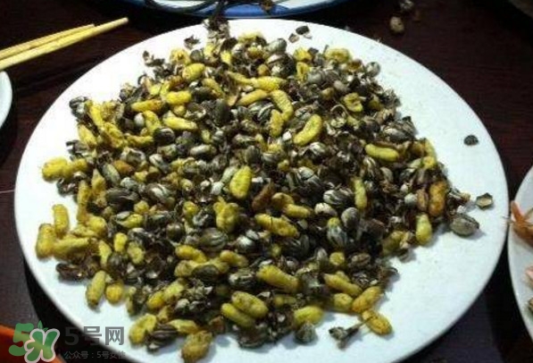 洋辣子是什么？洋辣子能吃嗎？