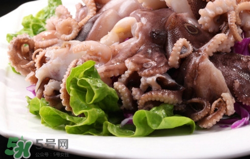 八爪魚是魷魚嗎？八爪魚是章魚嗎