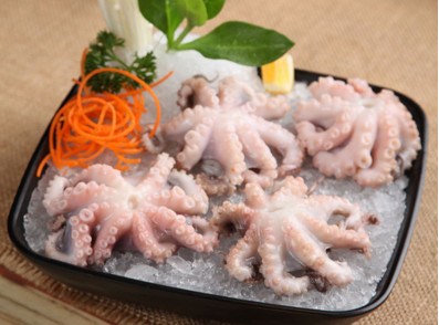 八爪魚是海鮮嗎？八爪魚是發(fā)物嗎