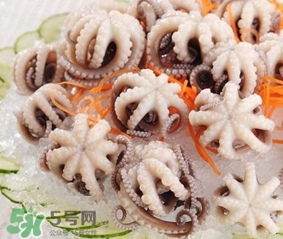 八爪魚為什么有大米？八爪魚為什么有墨汁