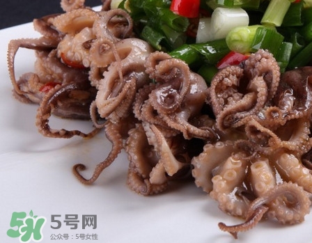 八爪魚怎么做好吃？八爪魚怎么保存