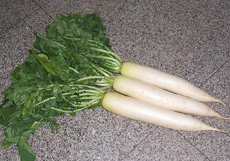 頭伏蘿卜二伏菜是什么意思？頭伏種什么菜？