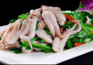 八爪魚是魷魚嗎？八爪魚是章魚嗎