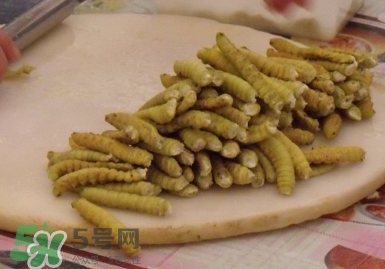 豆丹做菜前怎么處理干凈？豆丹怎么養(yǎng)殖