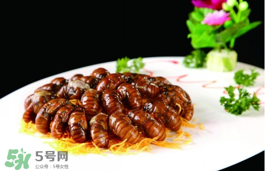 知了猴孕婦可以吃嗎？孕婦能吃知了猴嗎？