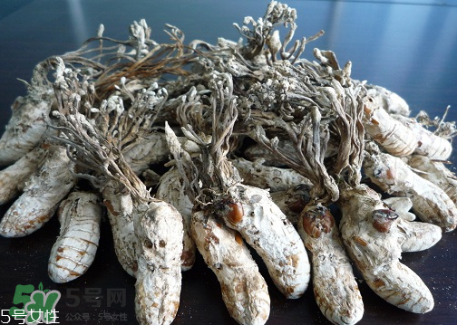 金蟬花多少錢(qián)一斤？2017金蟬花價(jià)格