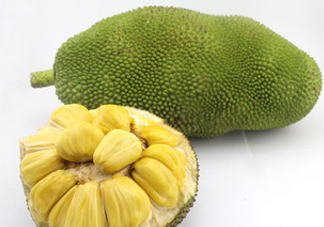 木菠蘿買來怎么吃？木菠蘿吃多了會怎樣？