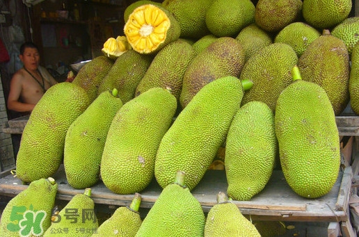 木菠蘿買來怎么吃？木菠蘿吃多了會怎樣？