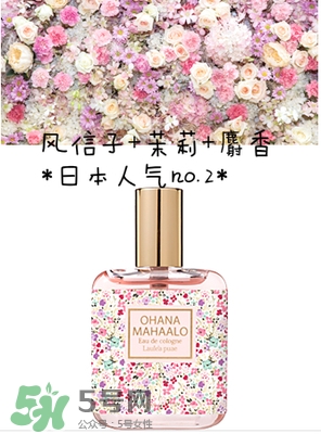 ohana mahaalo香水是什么牌子？ohana mahaalo在哪買？