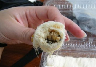 龍須糖是哪里的特產(chǎn)？龍須糖為什么叫龍須糖