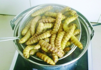 豆丹做菜前怎么處理干凈？豆丹怎么養(yǎng)殖