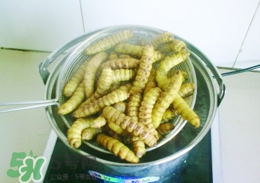 豆丹做菜前怎么處理干凈？豆丹怎么養(yǎng)殖