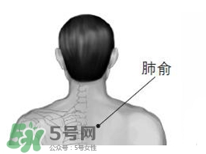 三伏貼能治過敏性鼻炎嗎？三伏貼治過敏性鼻炎貼哪里？