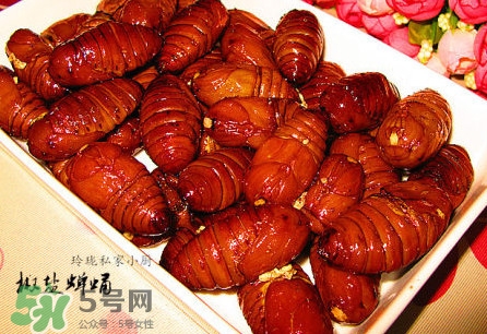蟬蛹可以保存多長時間？蟬蛹冰凍起來能保存多久