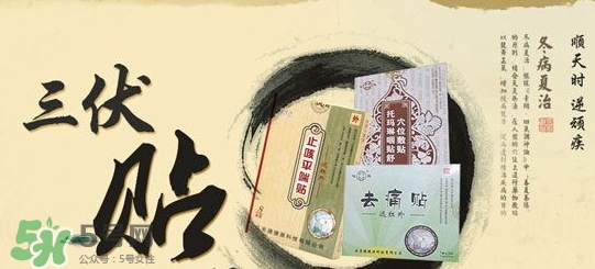 貼三伏貼掛什么科？三伏貼掛什么號？