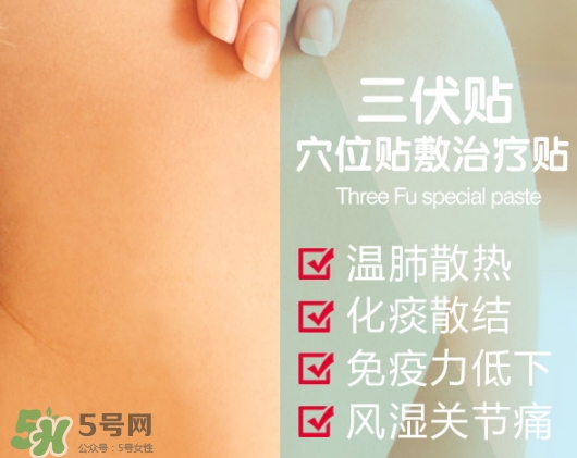貼三伏貼可以吃魚嗎？貼三伏貼可以吃什么魚？